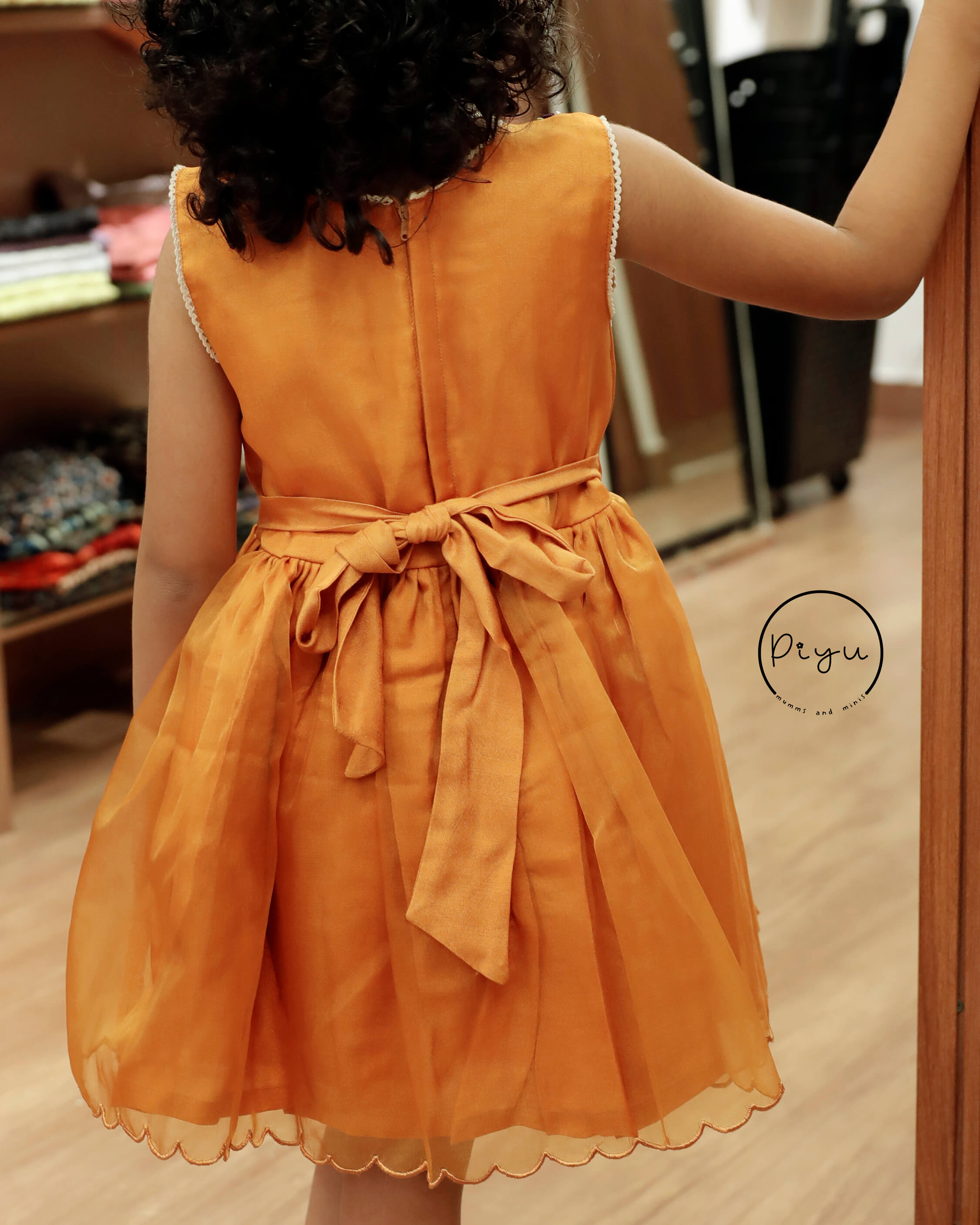 Organza Frock with hand work