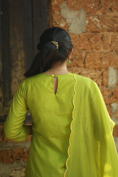 Mul Chanderi Hand-Painted A-Line Kurti – Parrot Green | Vishu Collection