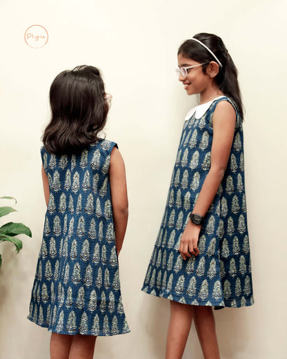 Cotton A-Line Dress: Ajrakh Print & Rose Embroidery-Blue
