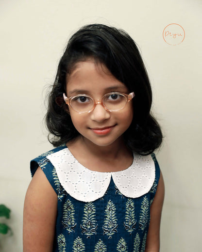 Cotton A-Line Dress: Ajrakh Print & Rose Embroidery-Blue