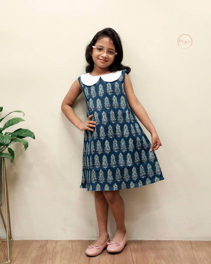 Cotton A-Line Dress: Ajrakh Print & Rose Embroidery-Blue