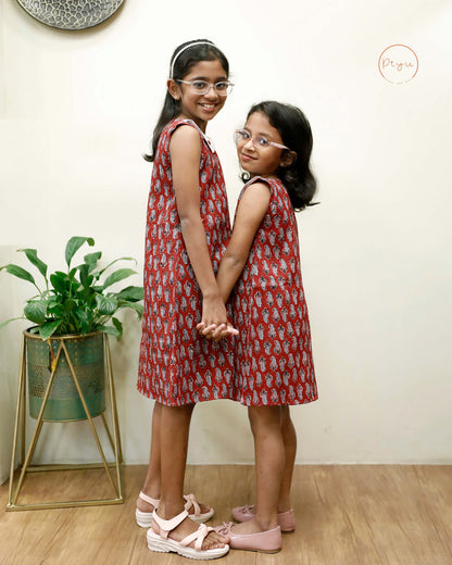 Cotton A-Line Dress: Ajrakh Print & Rose Embroidery-Brick red