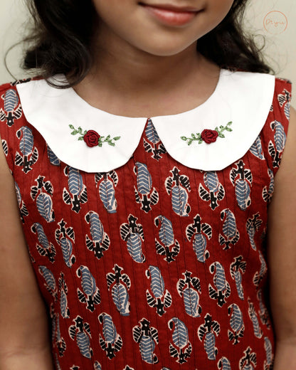 Cotton A-Line Dress: Ajrakh Print & Rose Embroidery-Brick red