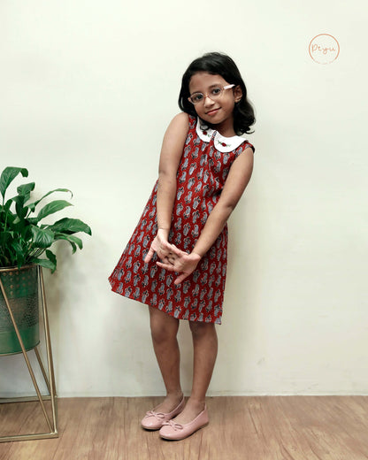Cotton A-Line Dress: Ajrakh Print & Rose Embroidery-Brick red
