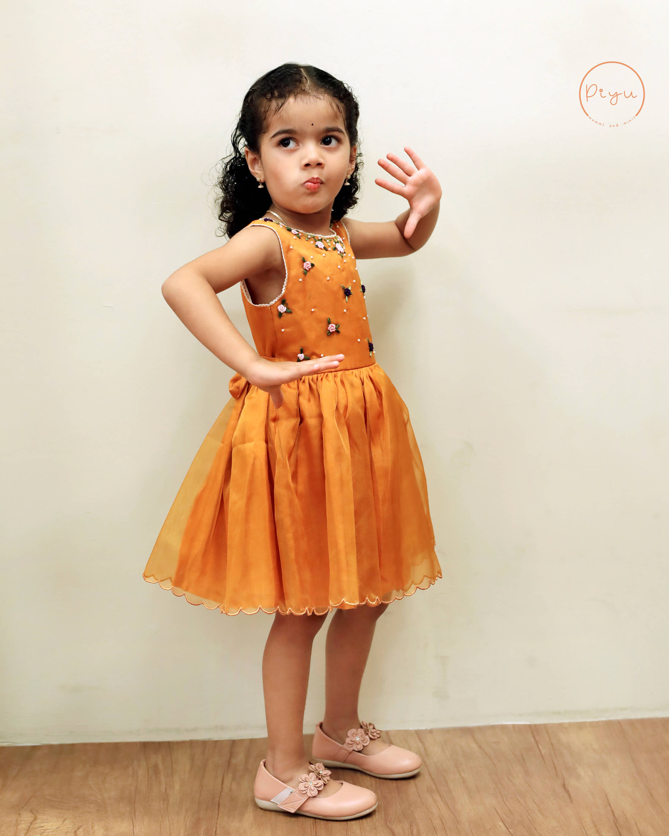Organza Frock with hand work