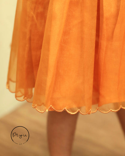 Organza Frock with hand work